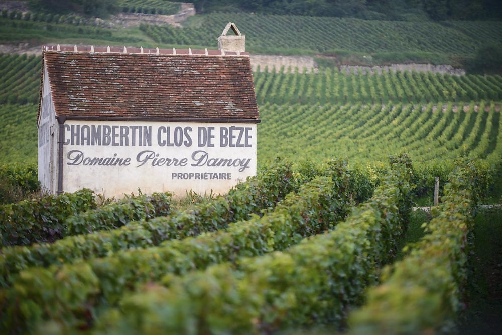 Domaine Pierre Damoy